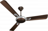 Fan and Air Conditioner